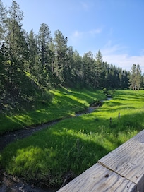 Path behind cabins