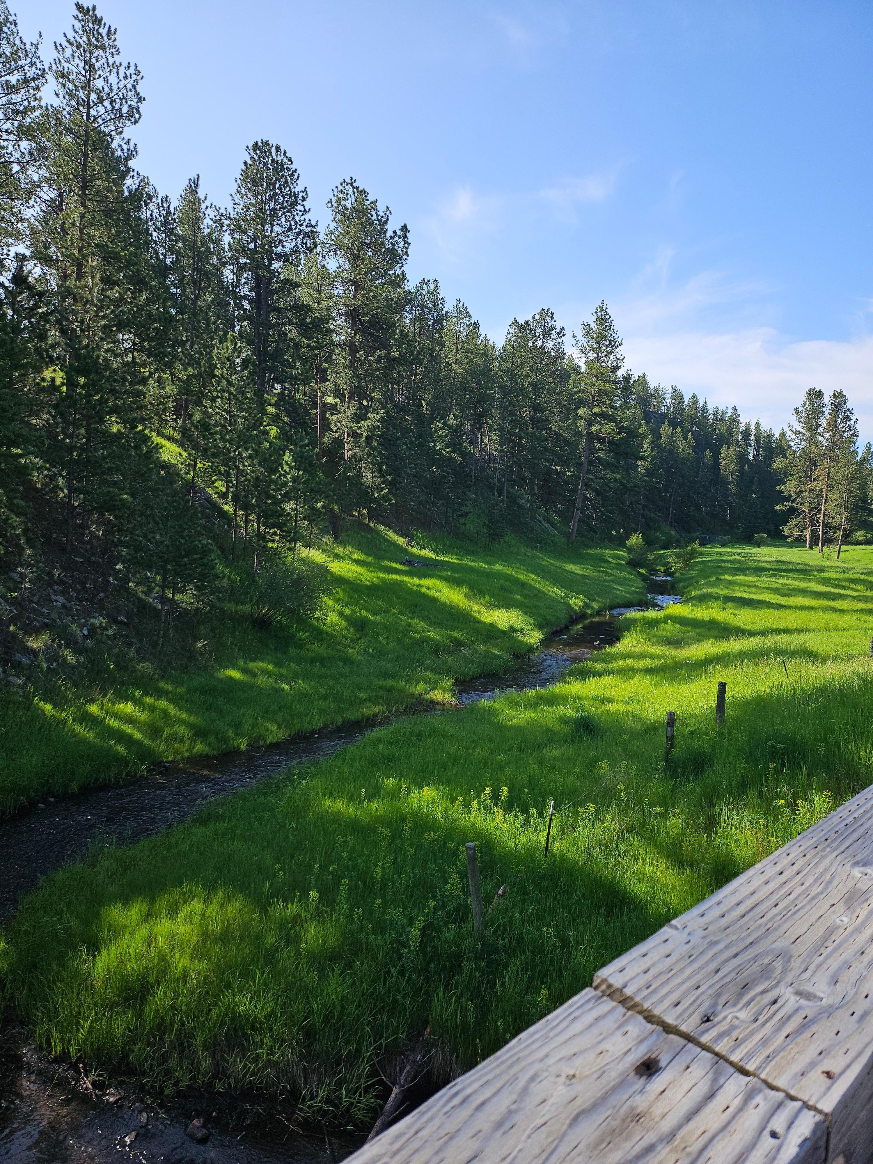 Path behind cabins
