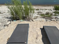 Lots of deer! They love carrots and lettuce.