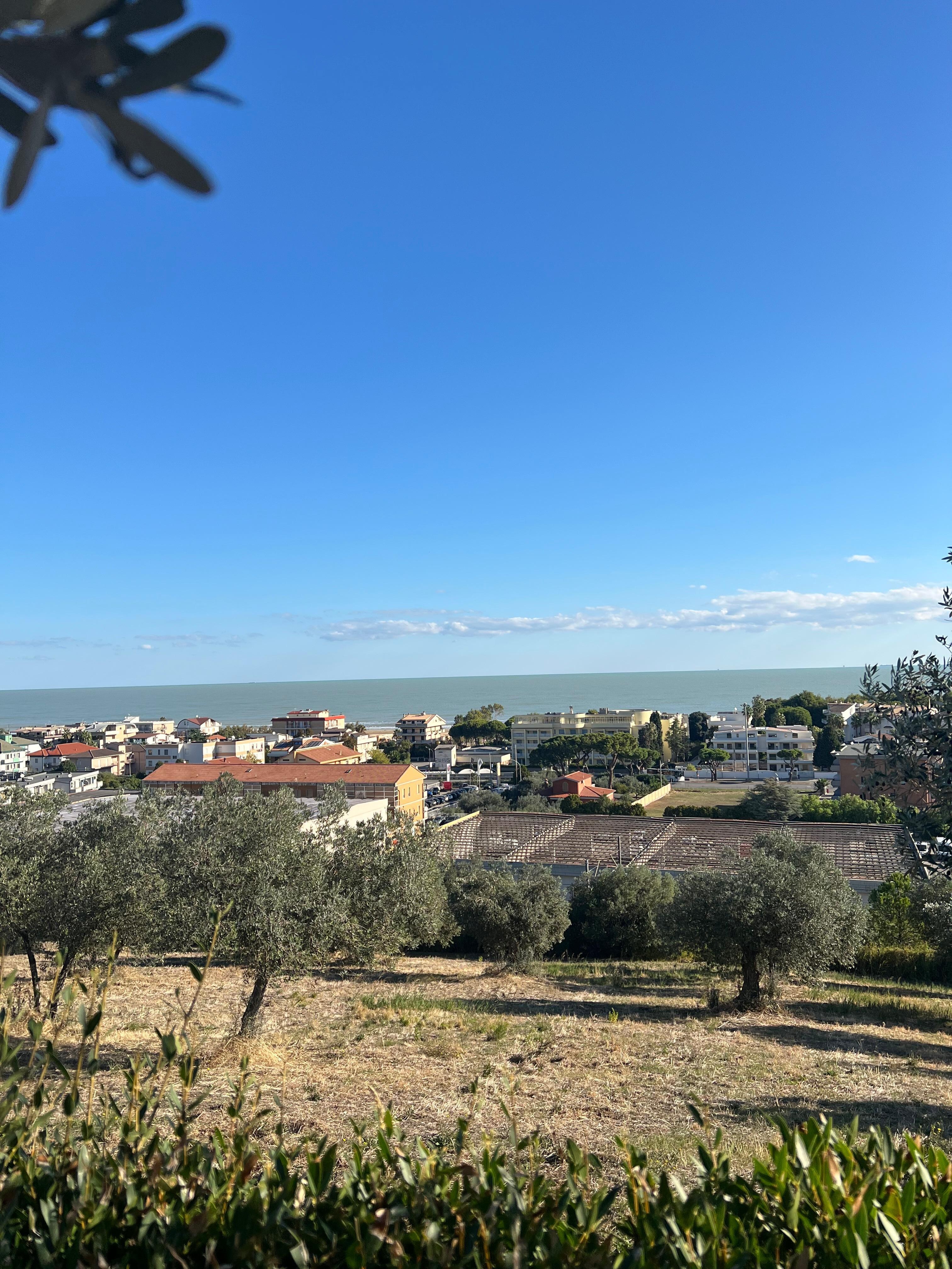 This is the ocean from the patio.