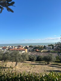This is the ocean from the patio.