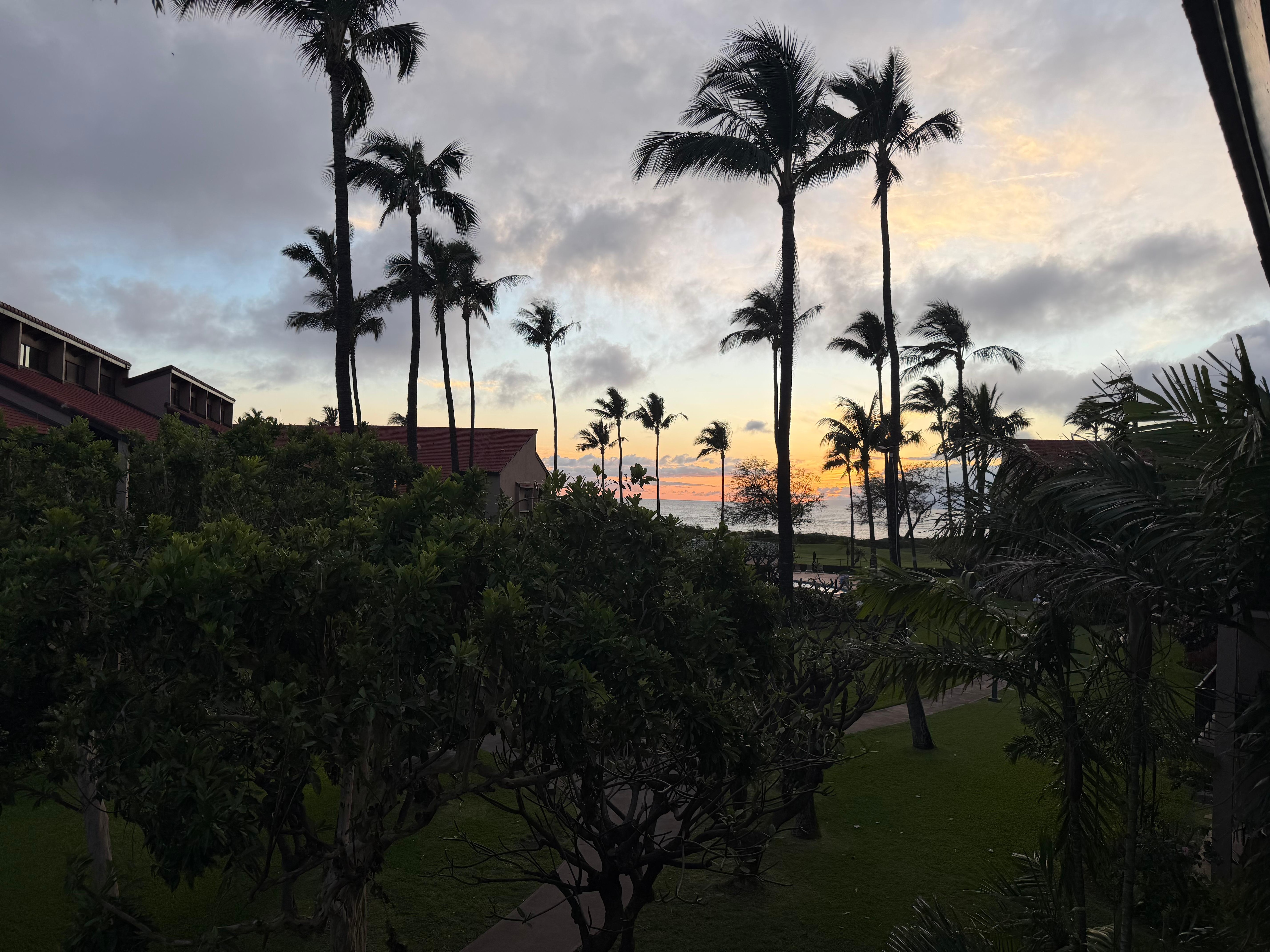 View from the balcony