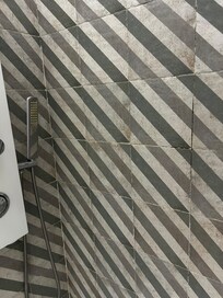Filthy shower tiles