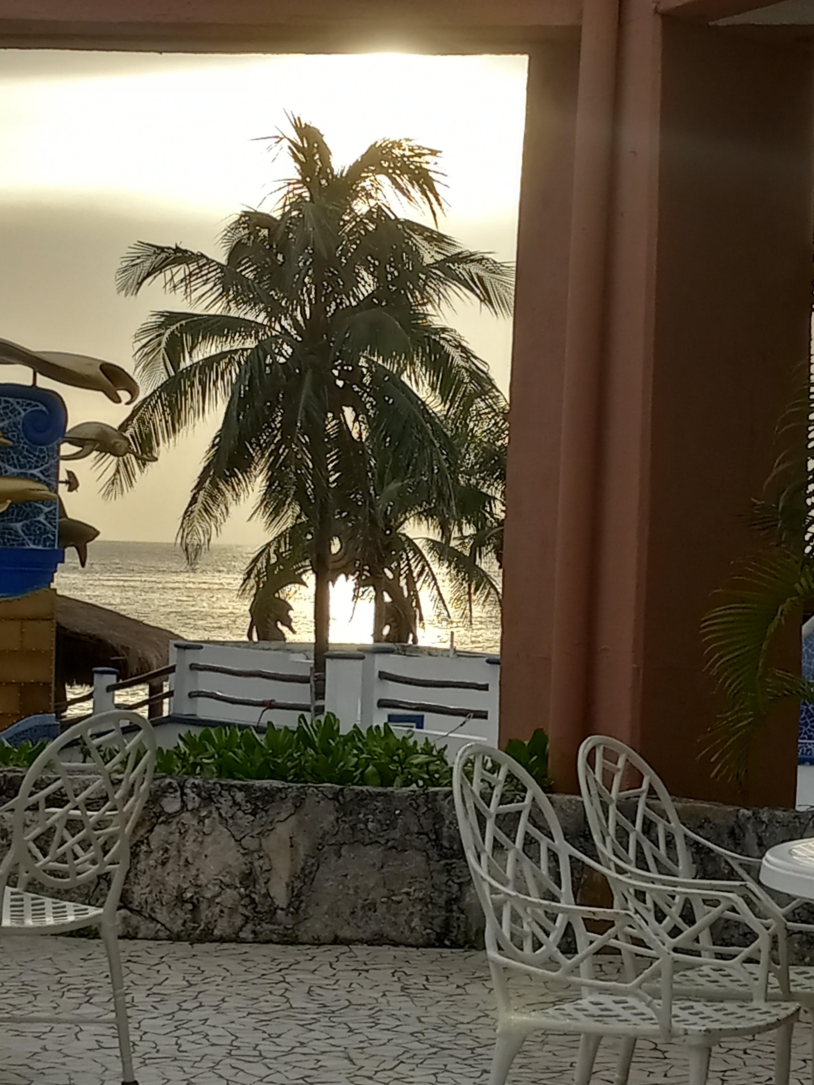View of ocean from dining area