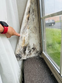 Other side of window