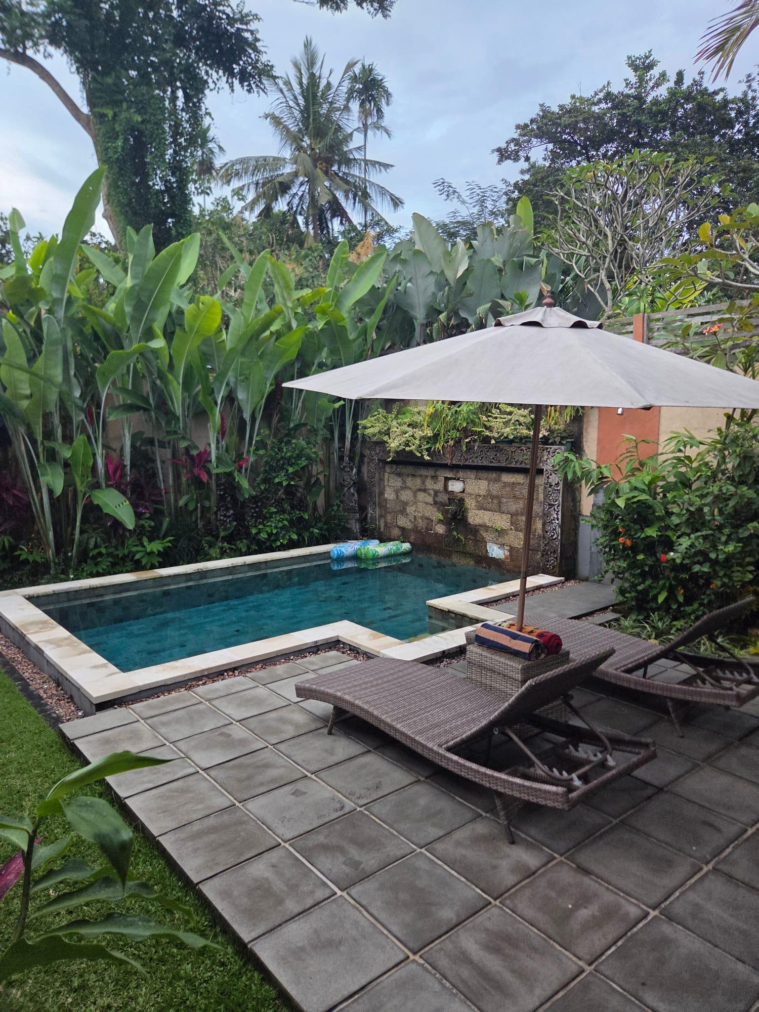 complete privacy in backyard and pool