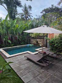 complete privacy in backyard and pool