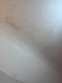 Ceiling in bathroom
