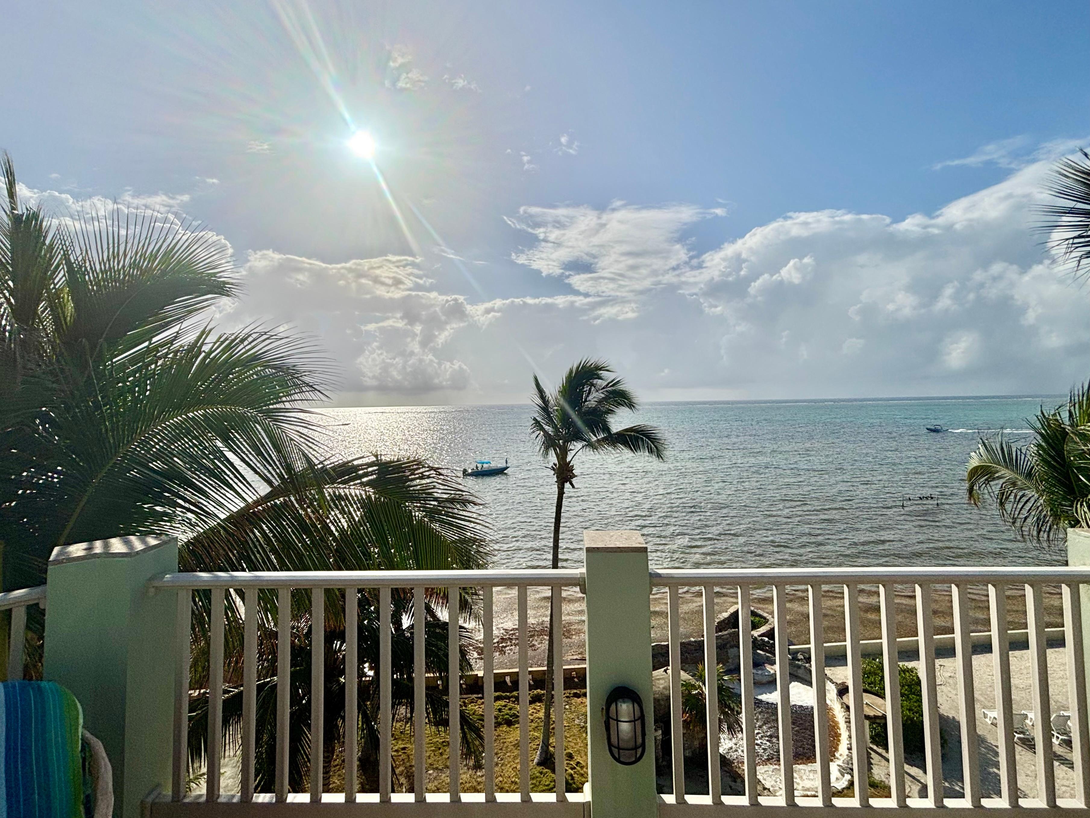 View from rooftop deck on A6