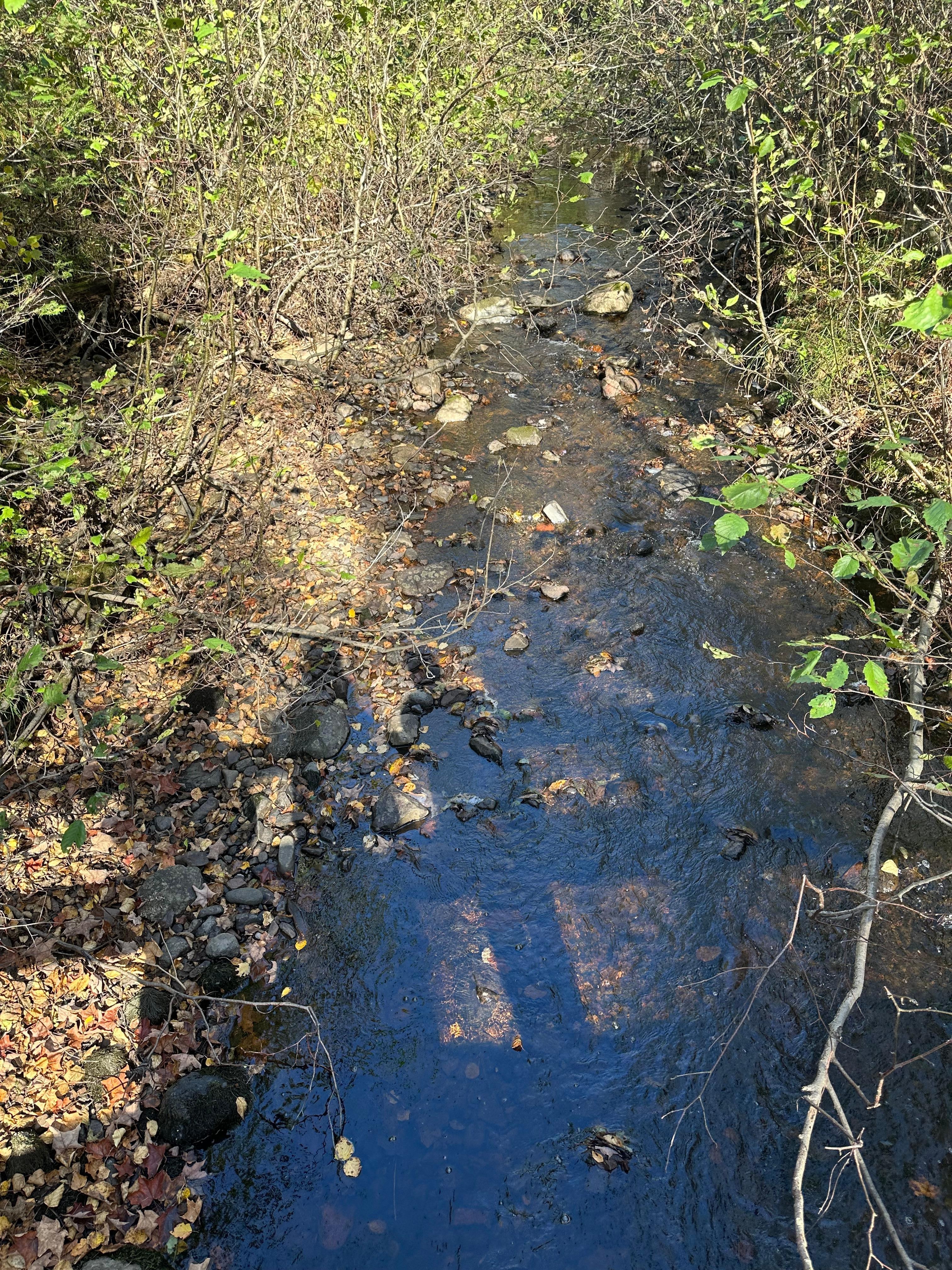 Selfie from a bridge