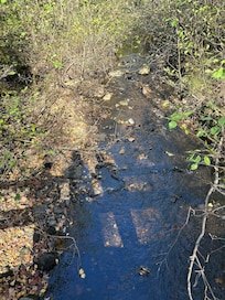 Selfie from a bridge