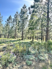 view outside the cabin