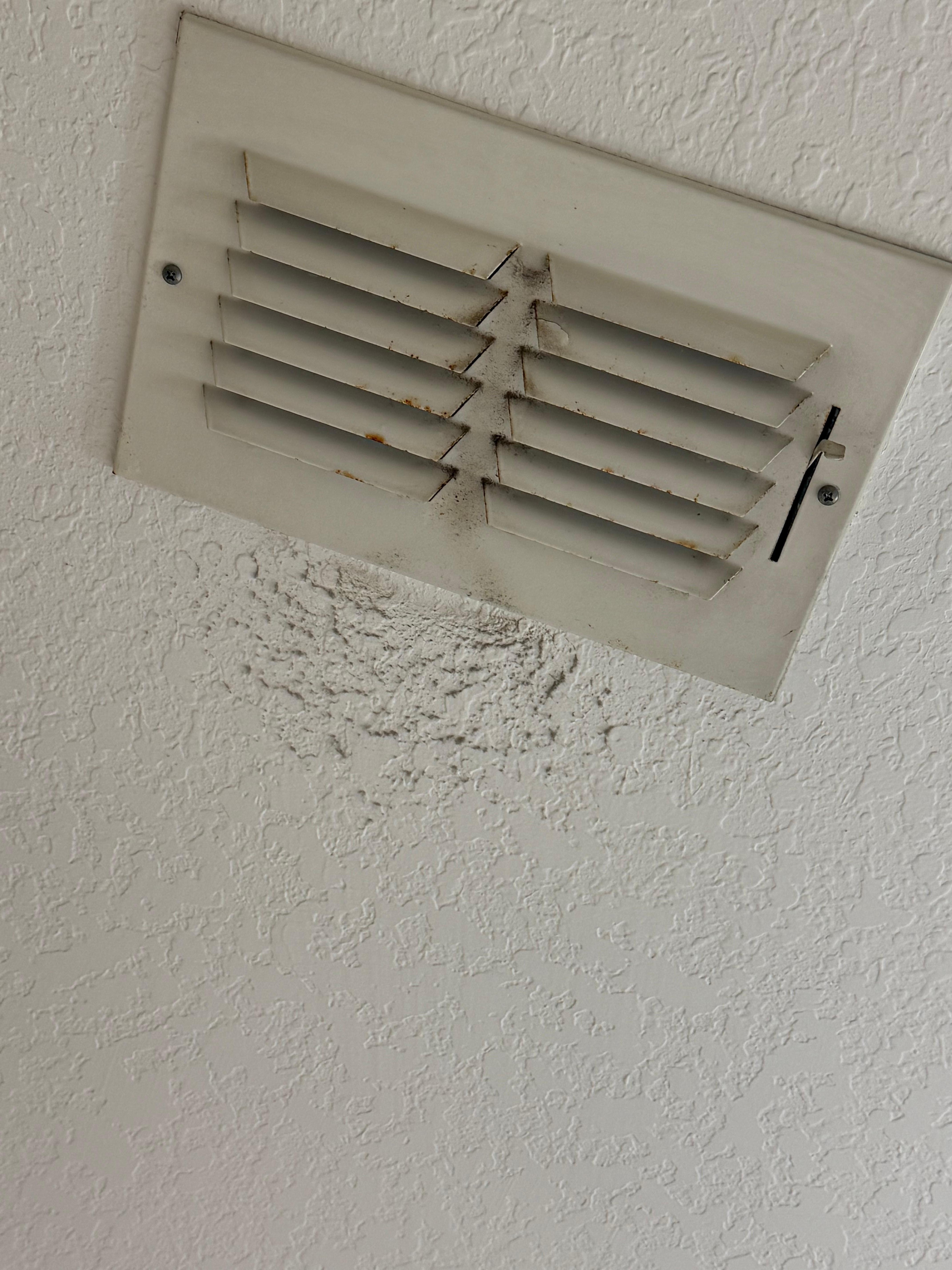 I vacuumed off what I could from these vents 