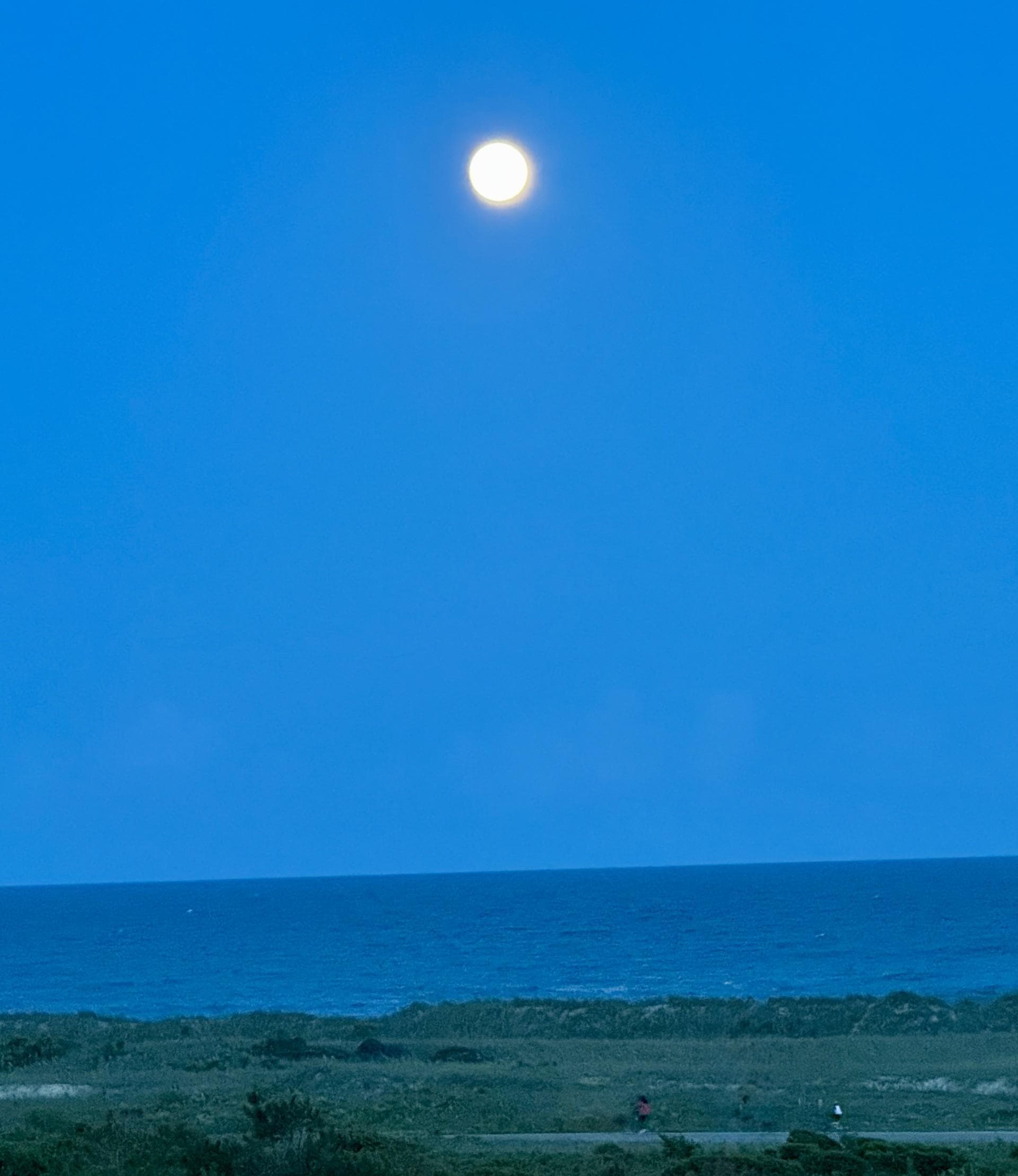 A beautiful night with the full moon