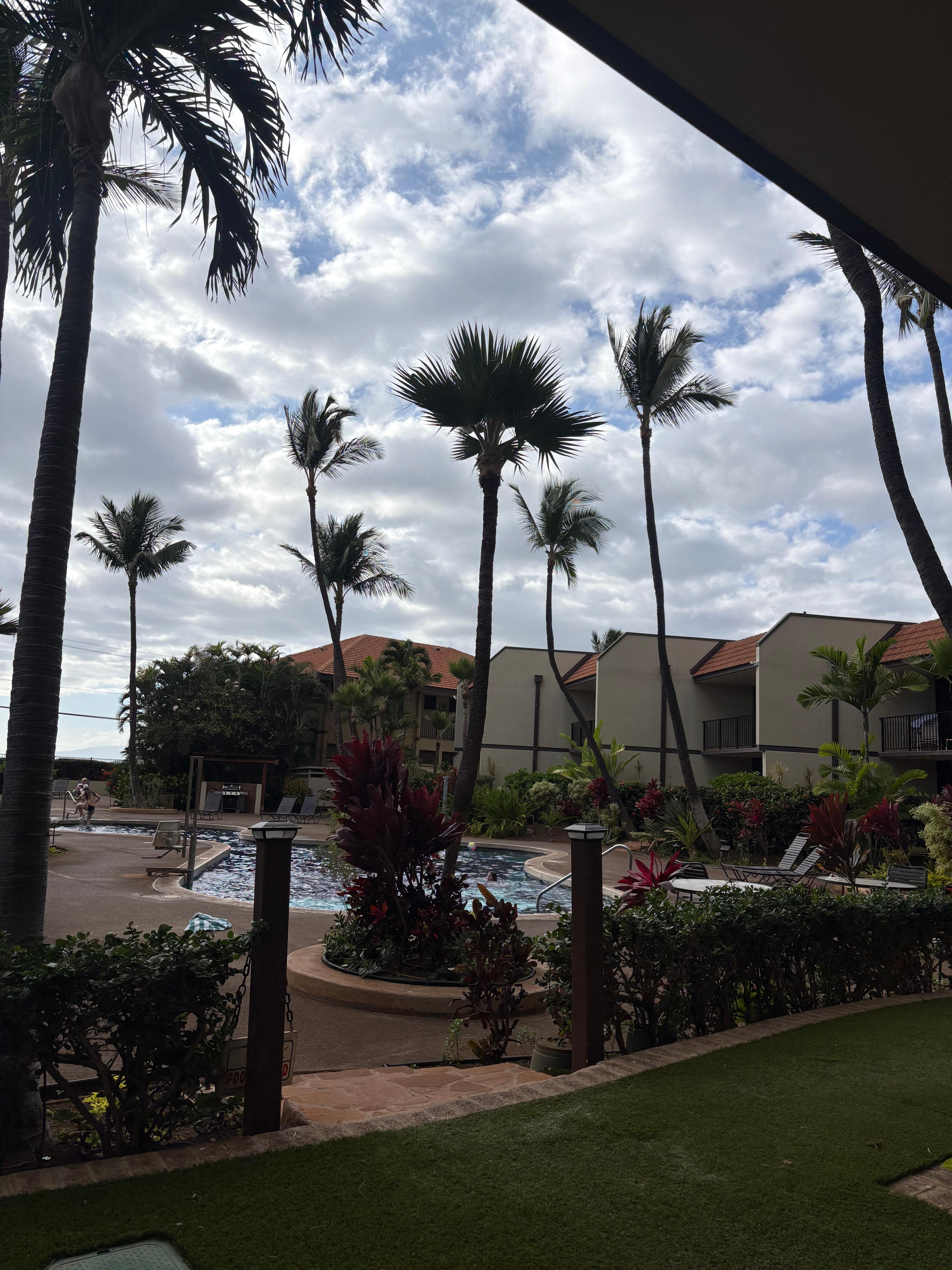 View from our lanai. Great pool access. 