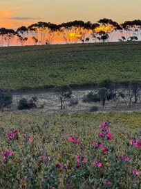 View from hotel room, sunset