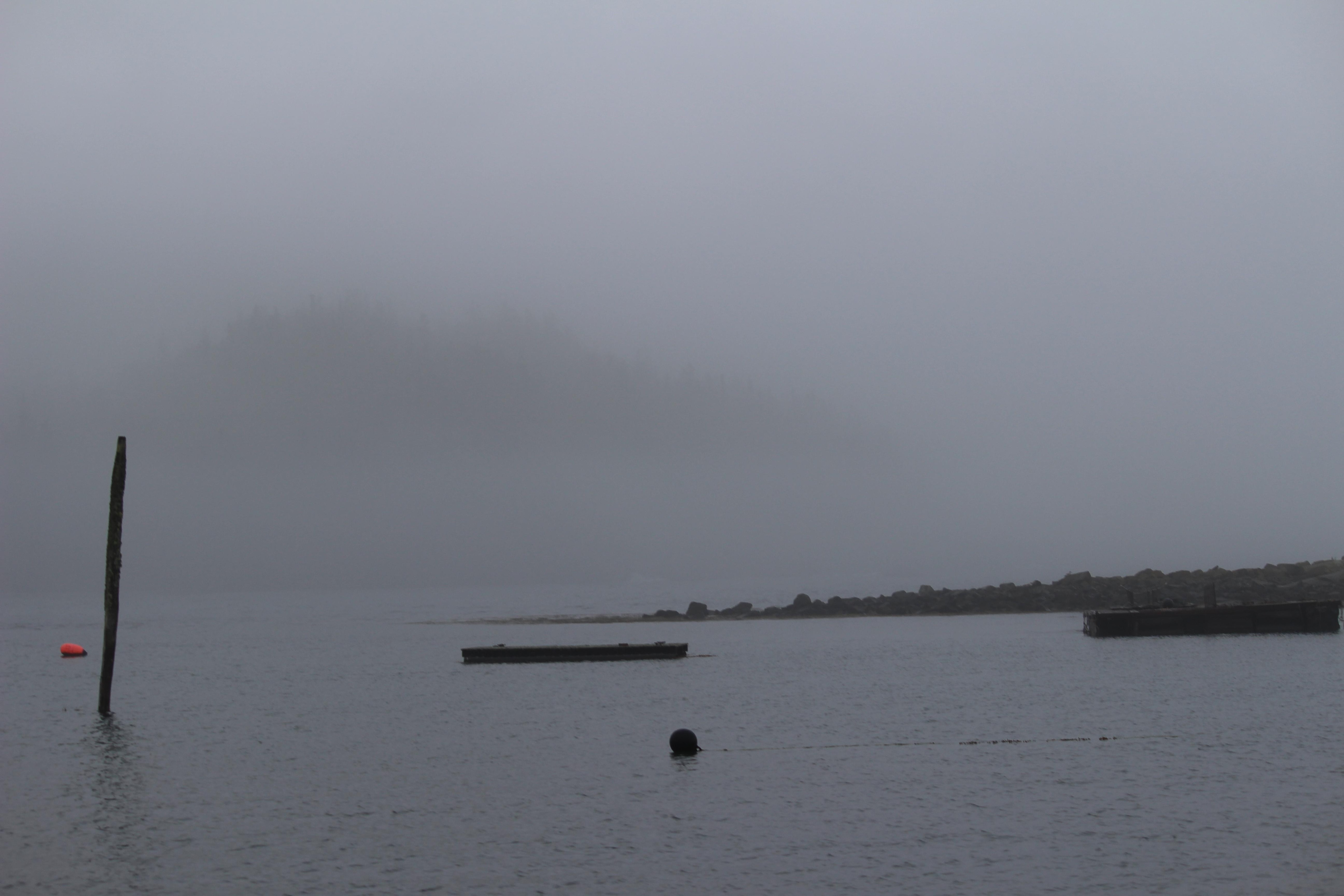 Cove after a storm