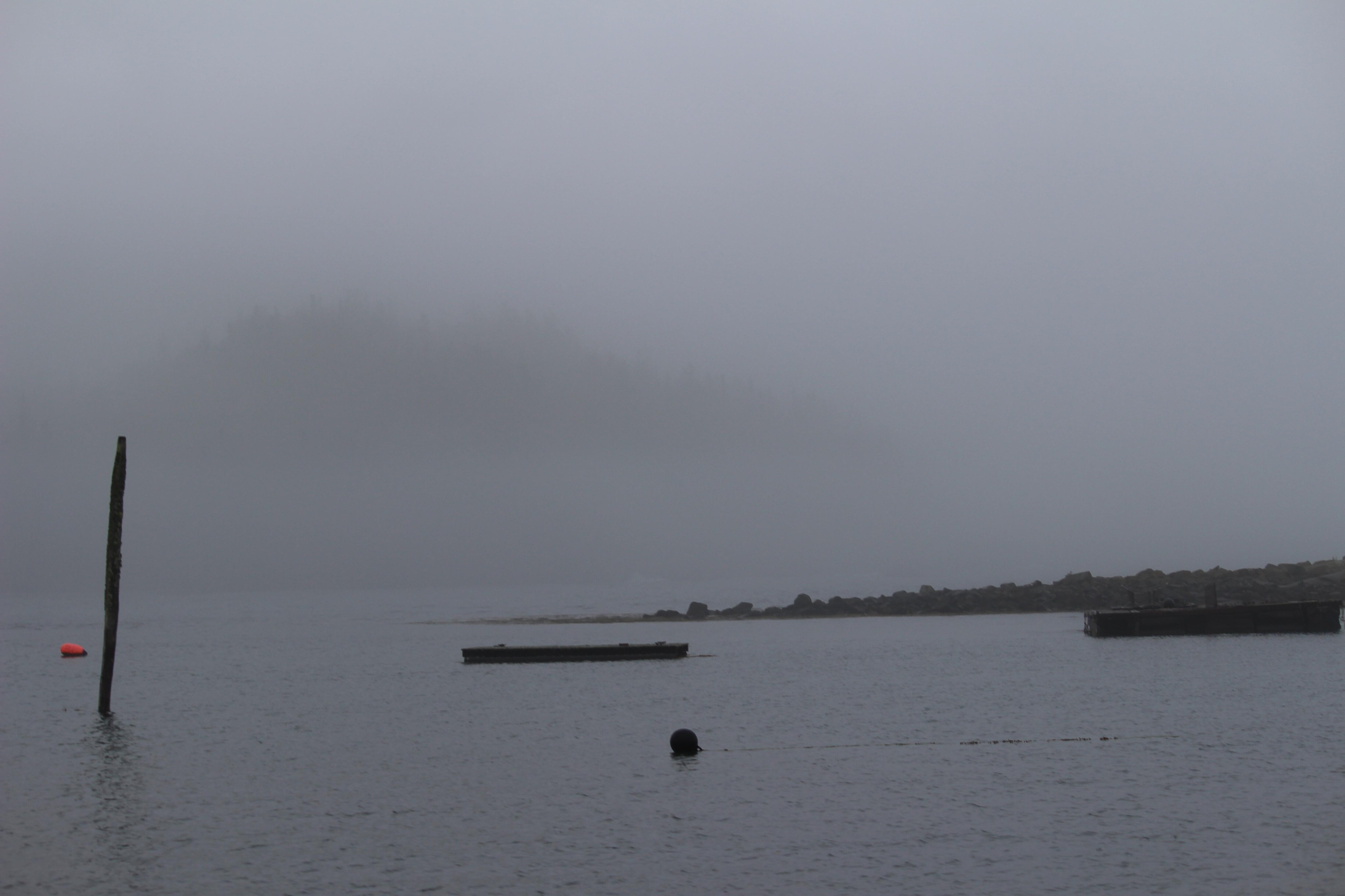 Cove after a storm