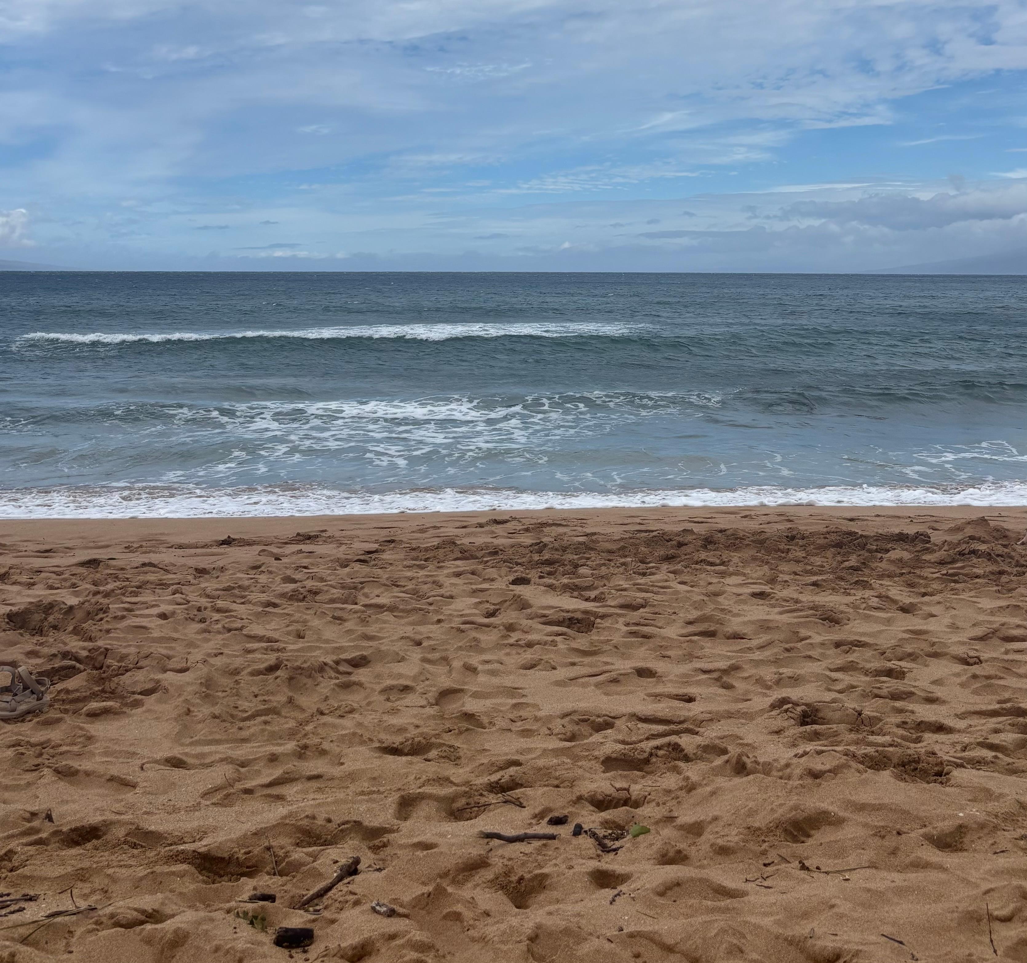 The beauty of the beach at the resort!