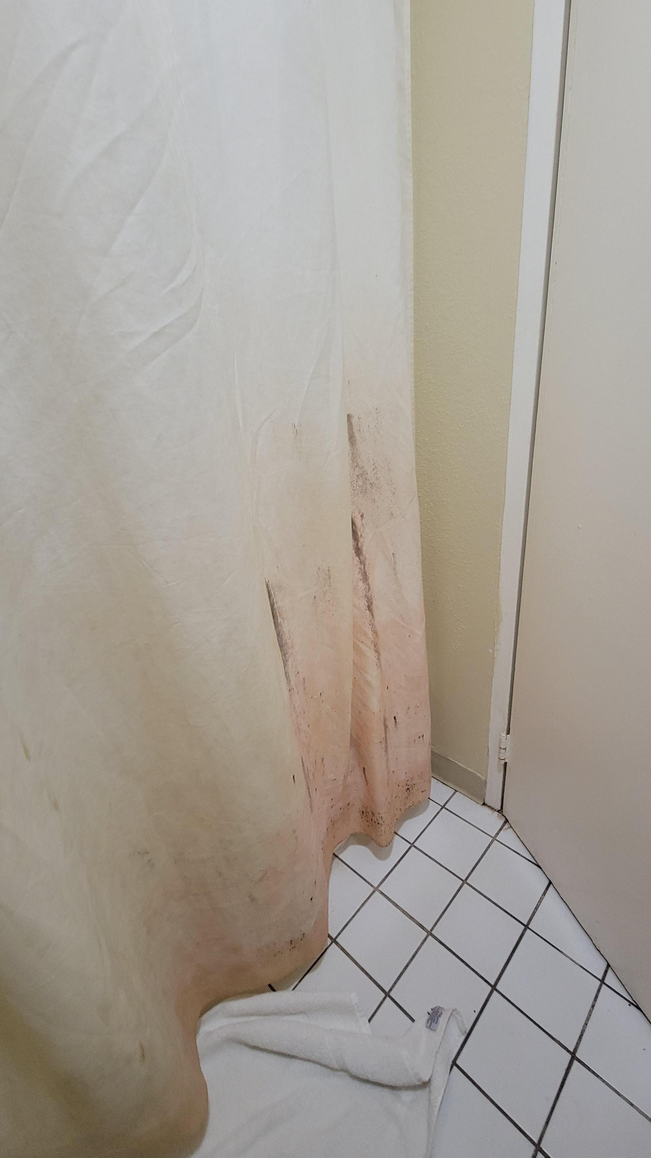 Mold