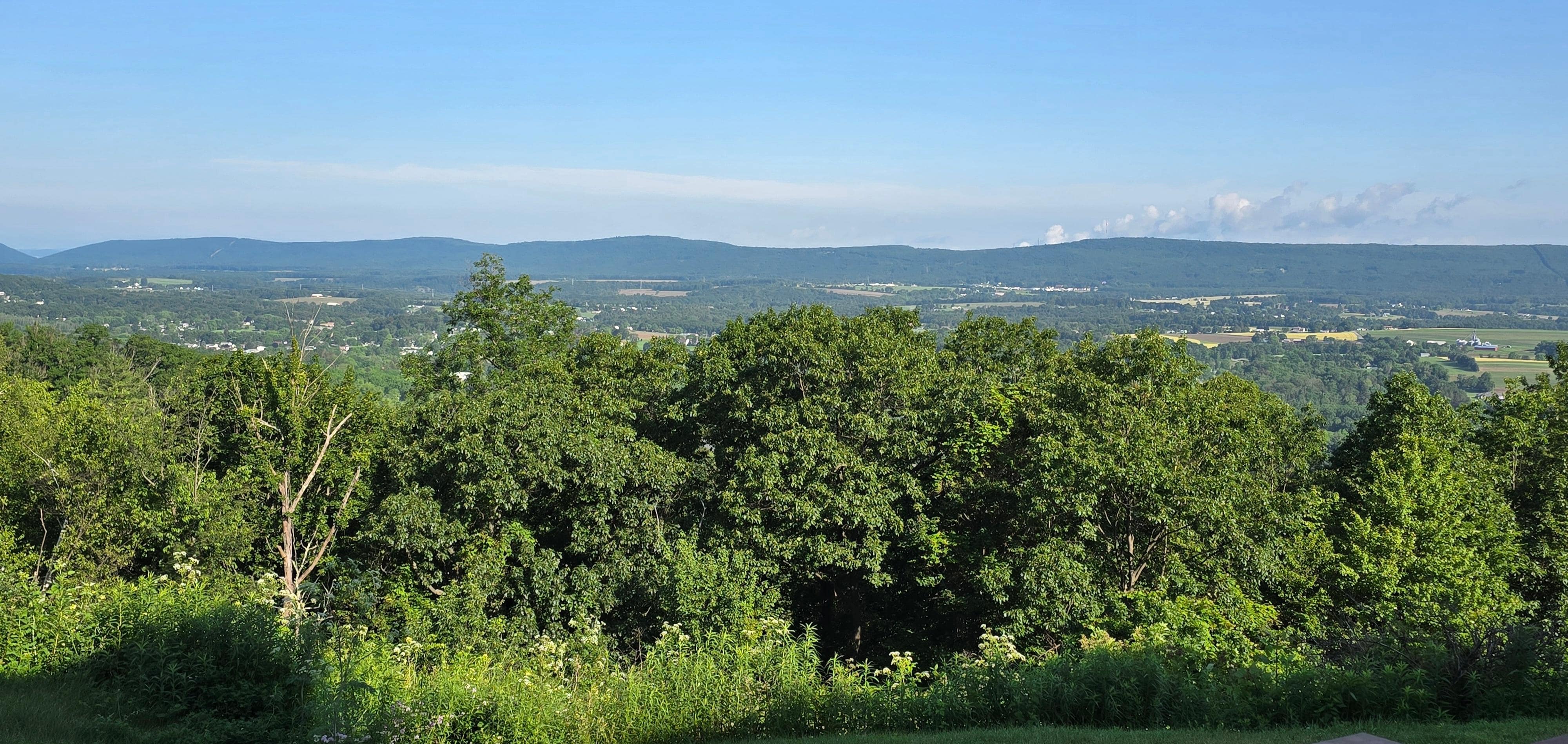 View from back patio