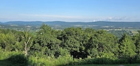 View from back patio