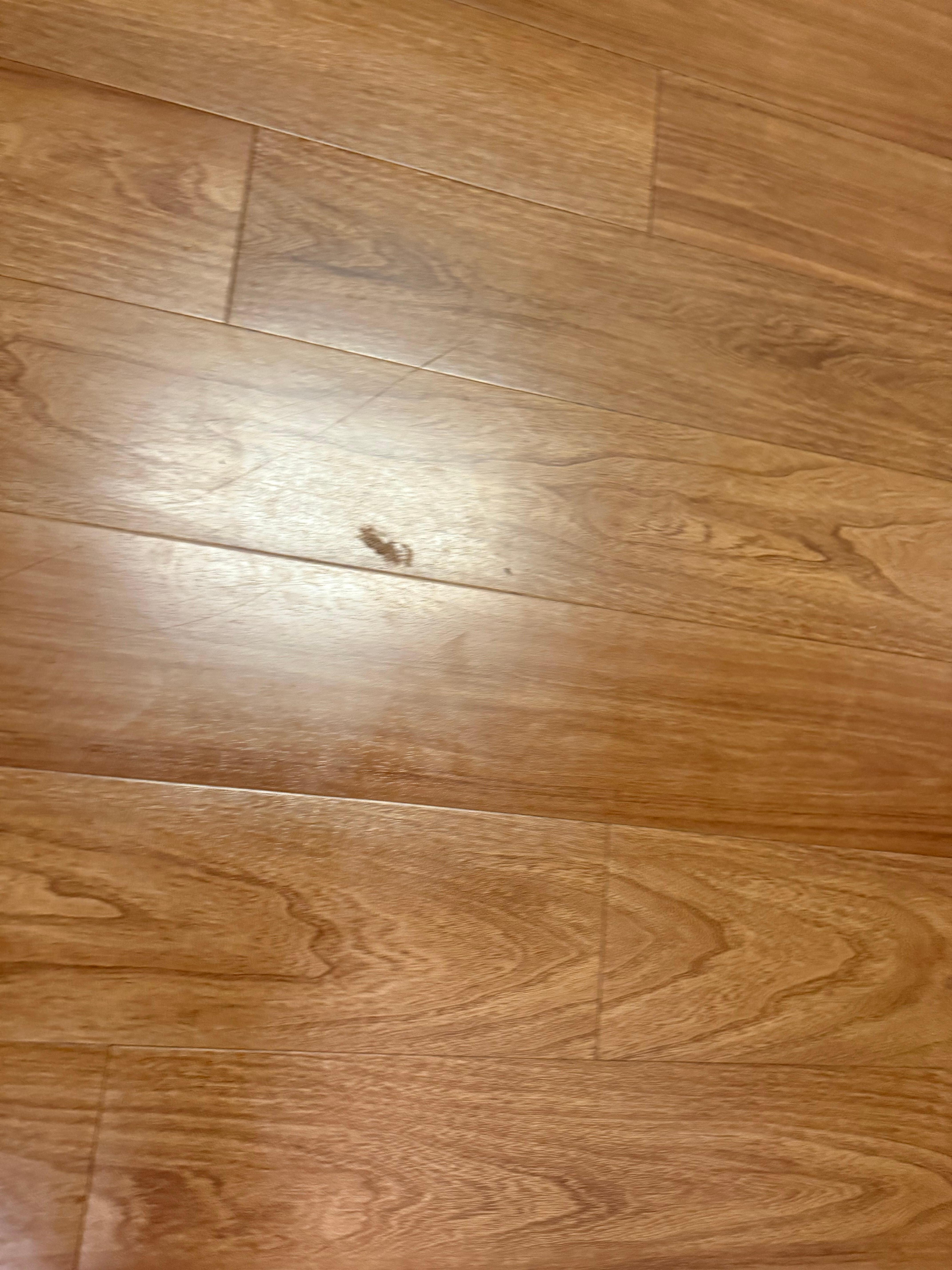 Dirty floor