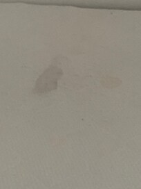 This is the mattress stained and so full of bobbly bits so not even comfy to lay on and I was bitten so badly all over my body