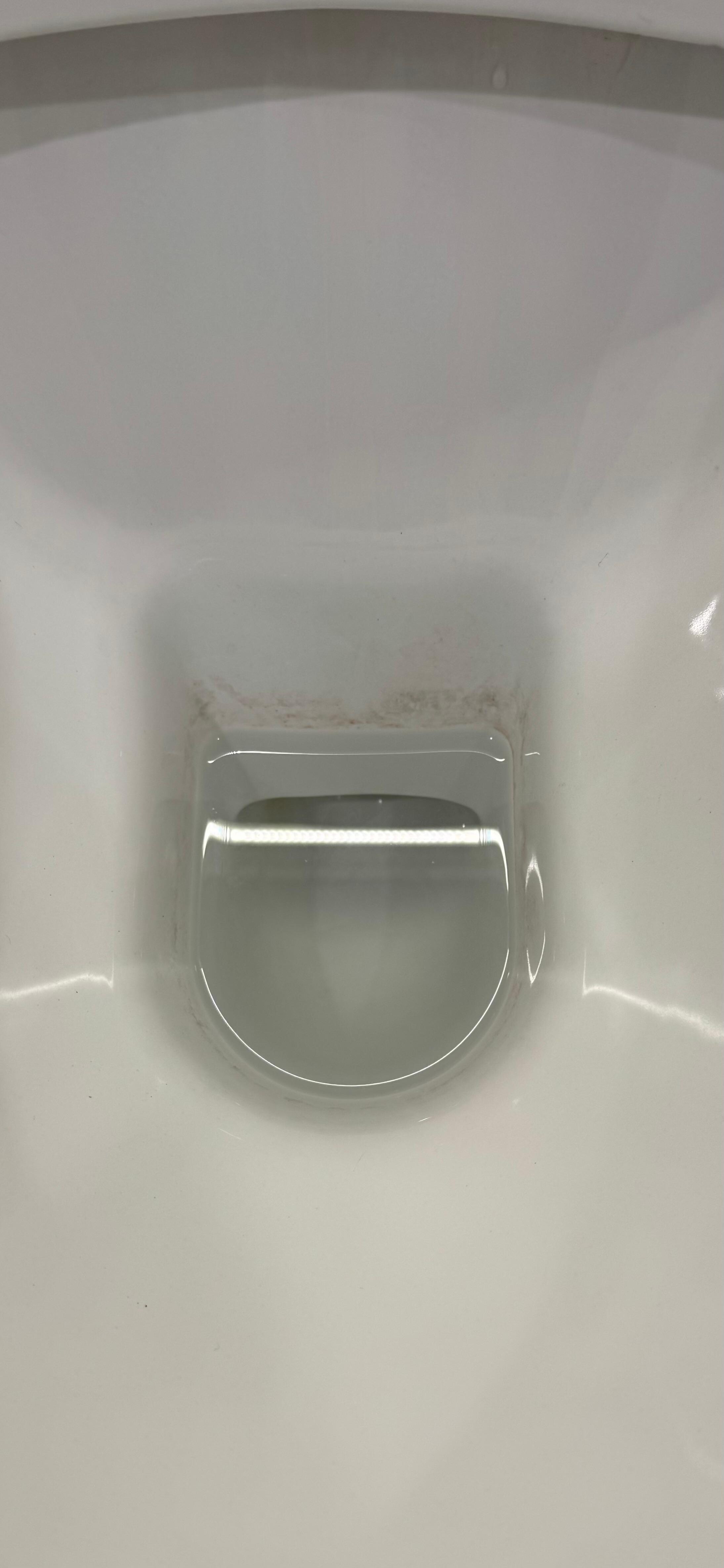 Toilet definitely not cleaned between stays!!! (In a long time)