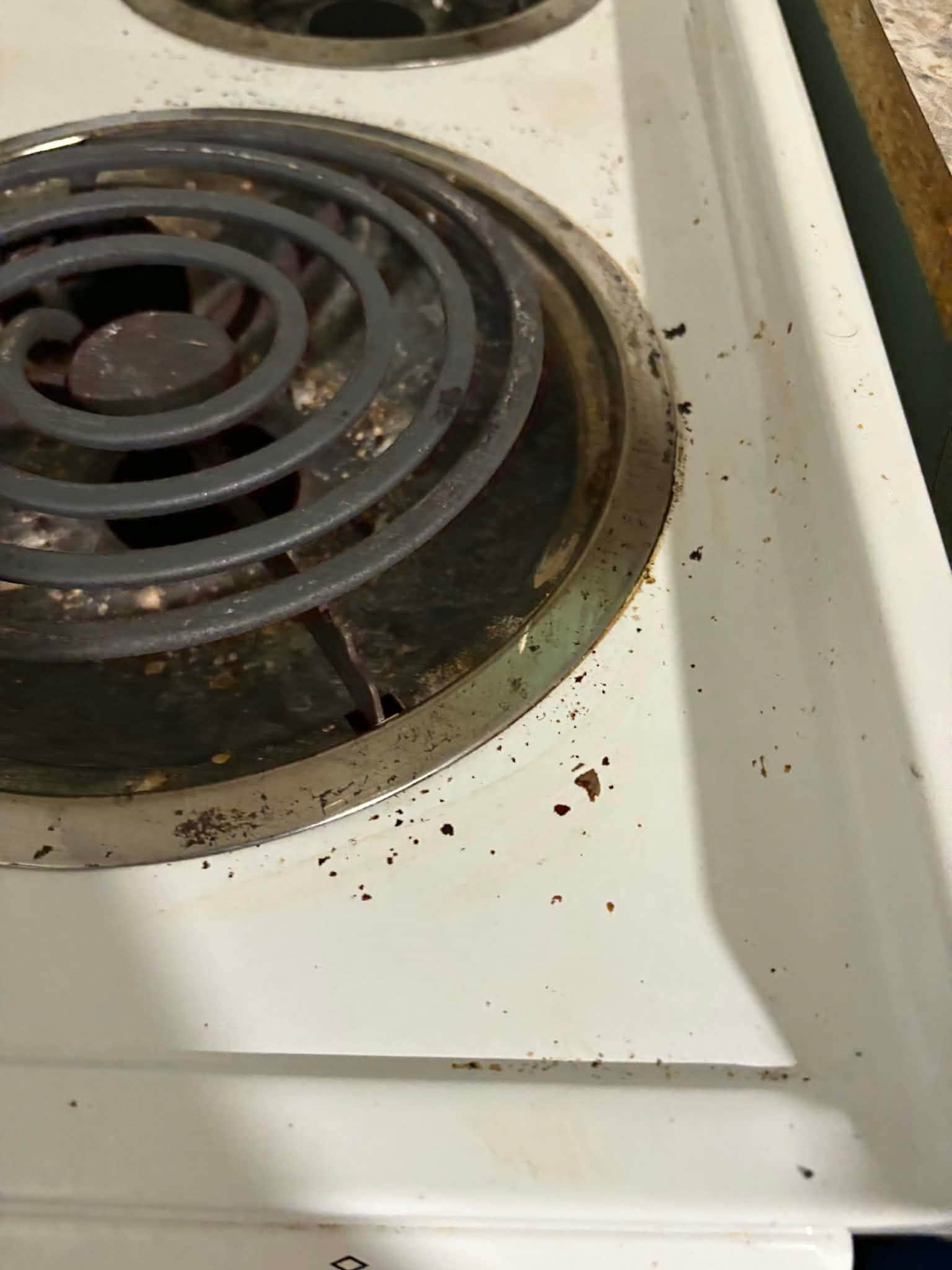 Crumbs all over stovetop 