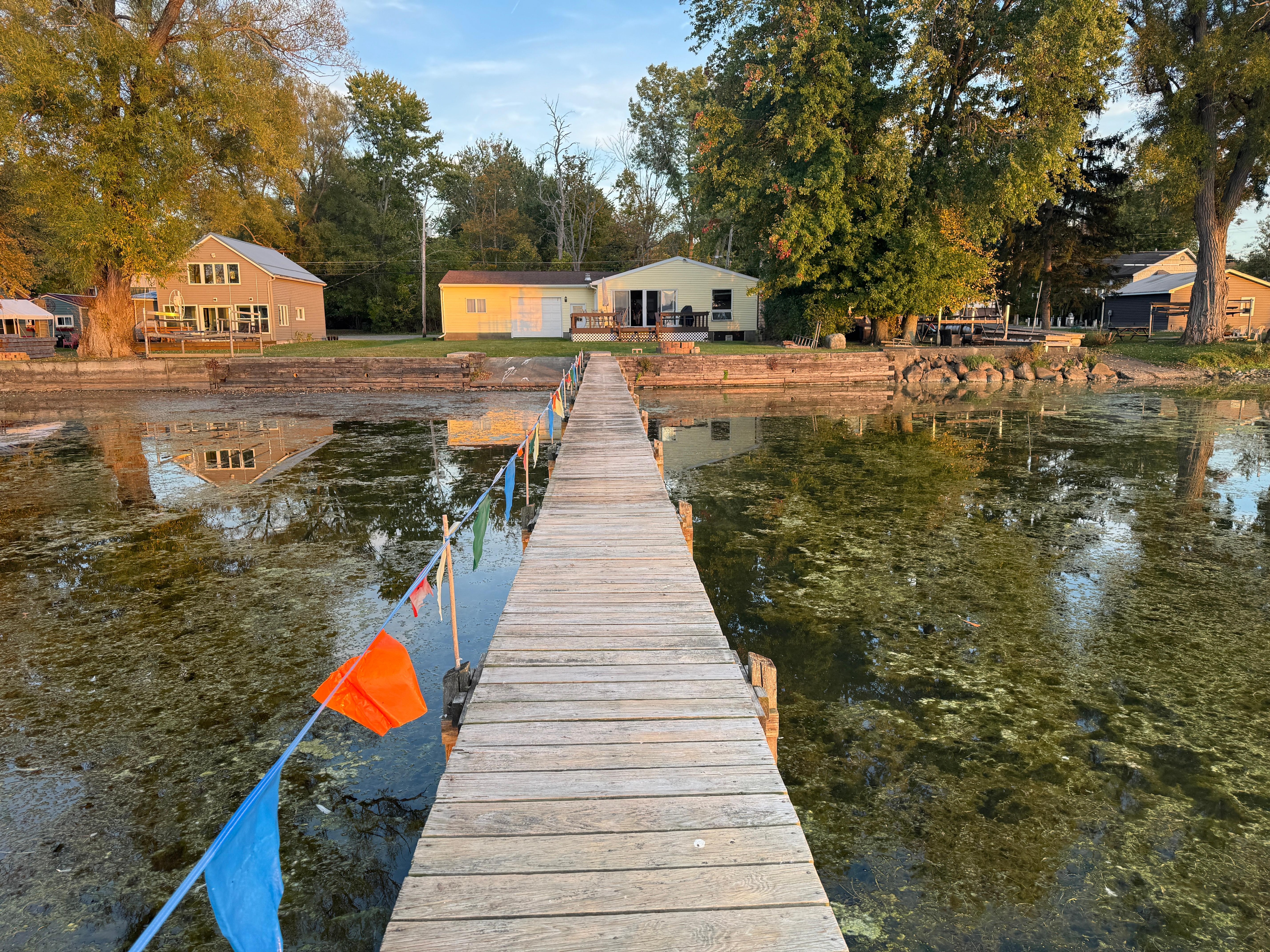 Dock plus vegetation in the water