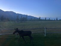 View out the living room window the night before we left