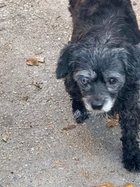 This is Baby!