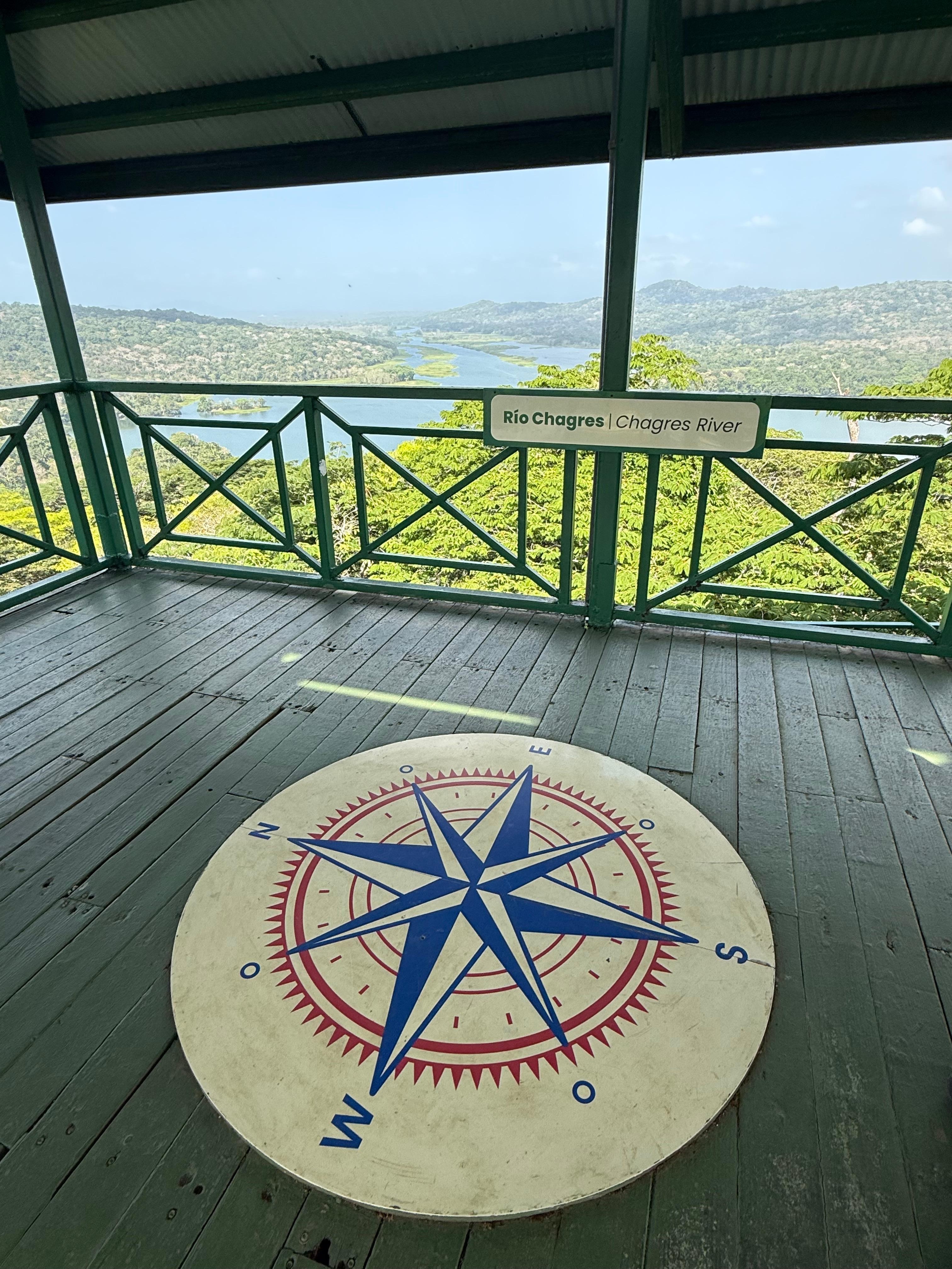 Tram Tour through Rain Forest - viewing tower at the top