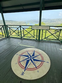 Tram Tour through Rain Forest - viewing tower at the top