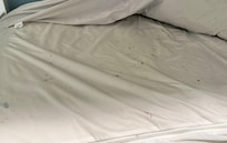 Mold on mattress covers