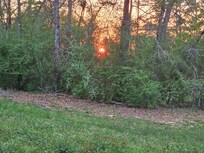 Peek of the sunset thru all the trees on the secluded property.