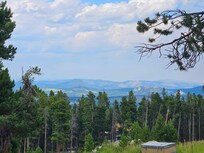 The view from the top of the driveway.