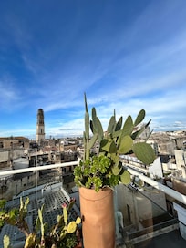 Rooftop