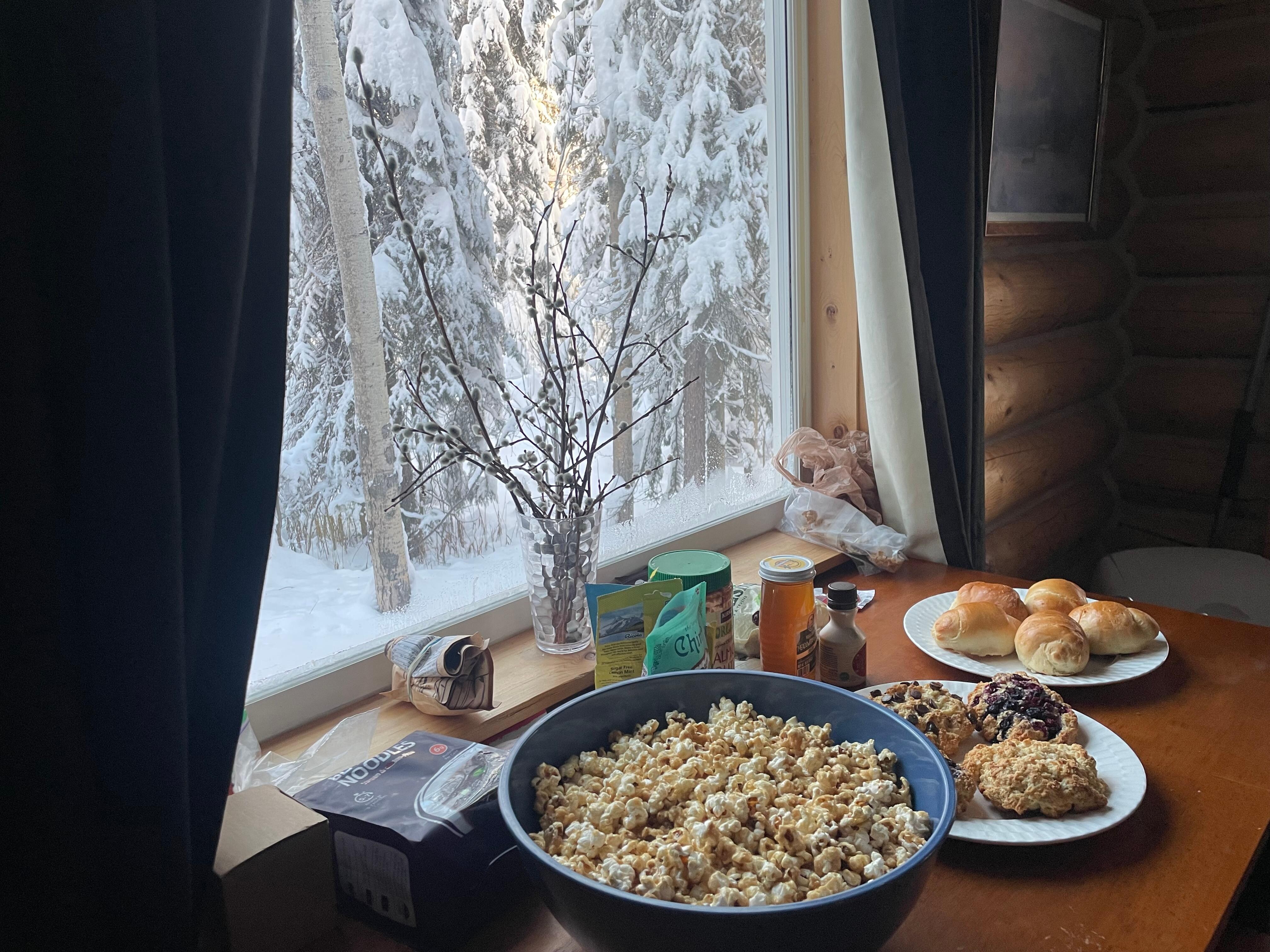 Nice forest view and kitchen
