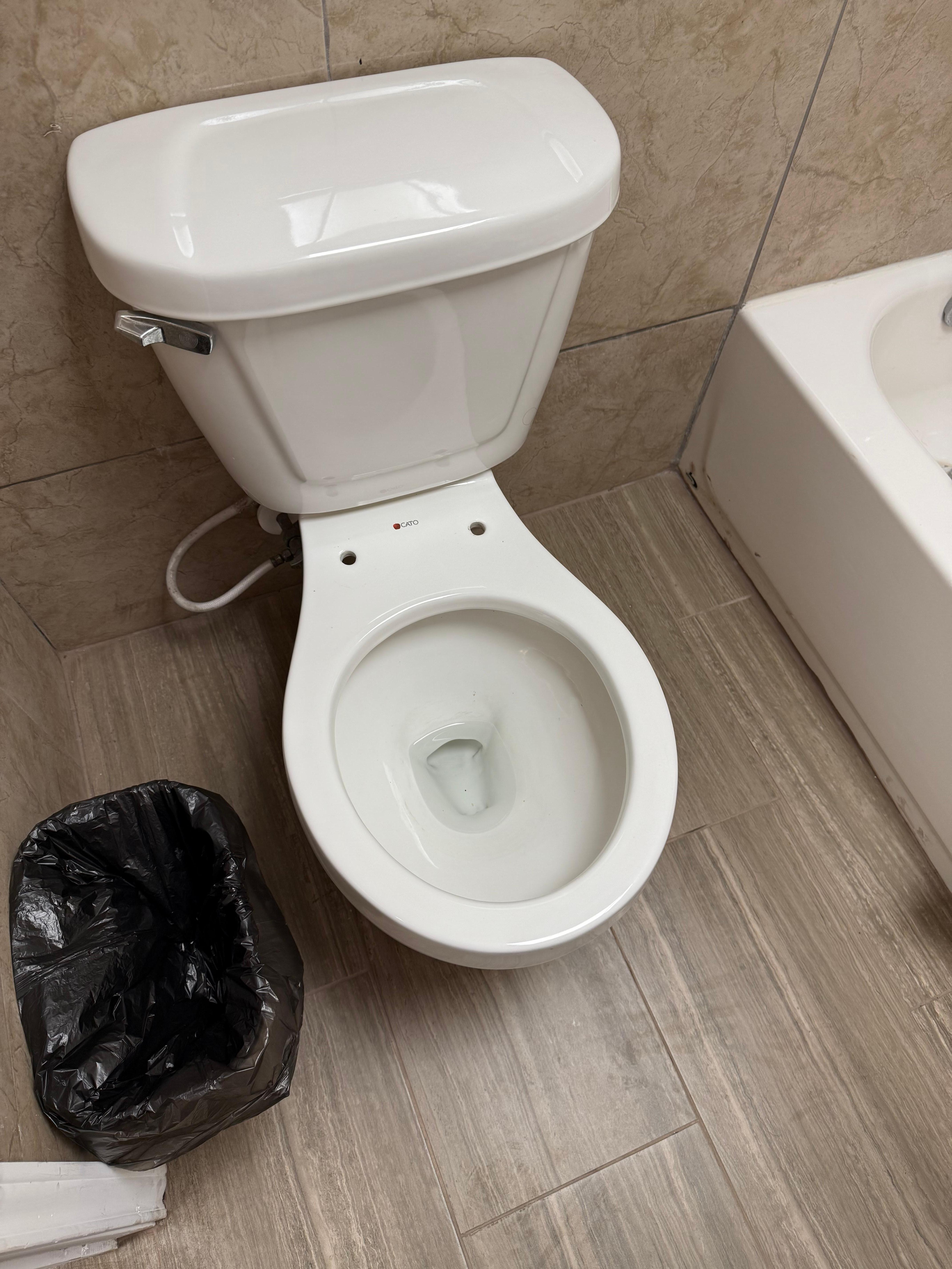 No loo seat!