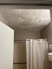 Mold on ceiling in bathroom