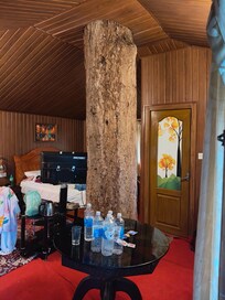 The teer in the tree house