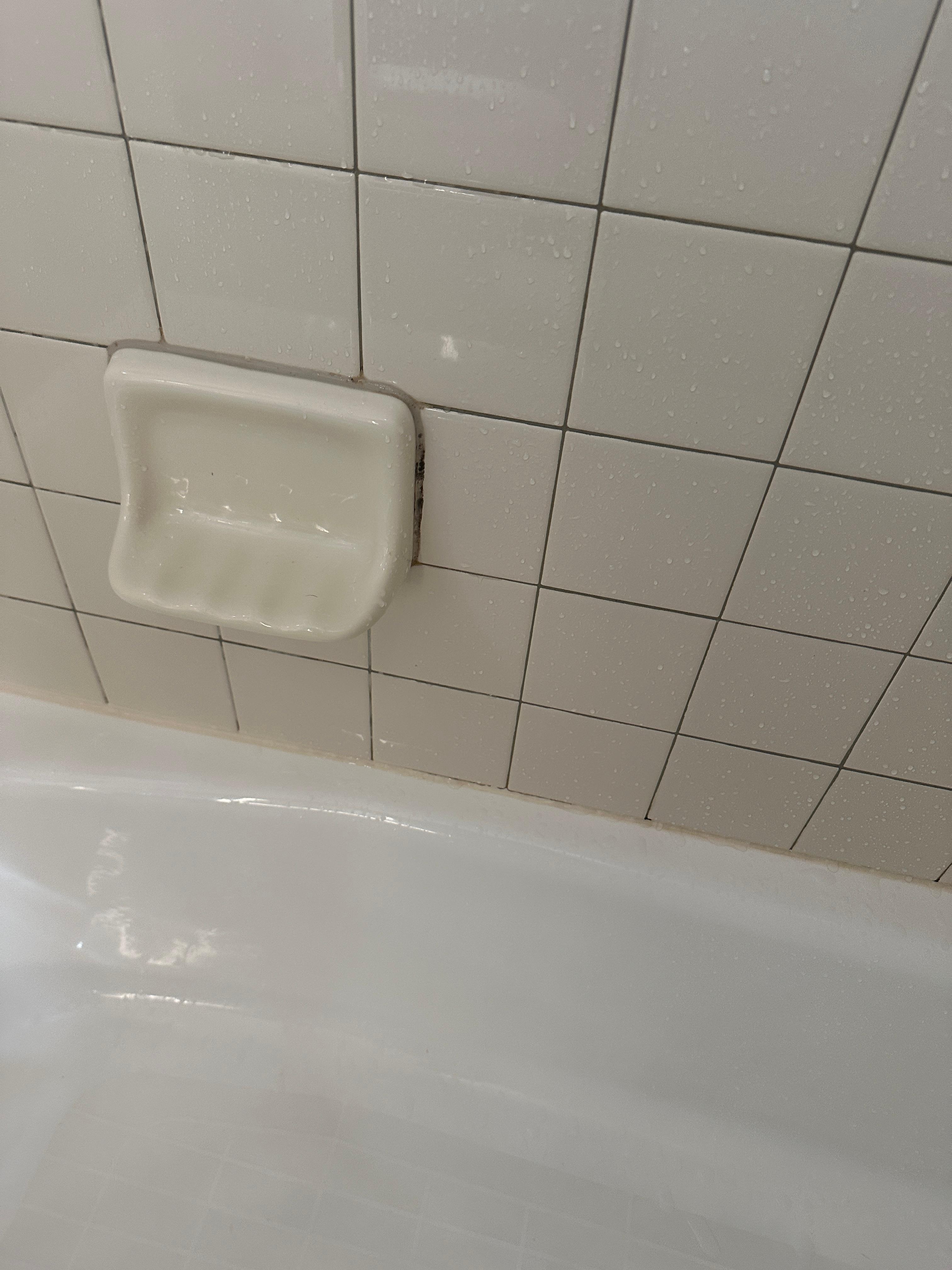 Moldy bathroom