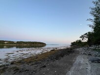 Cove near the house