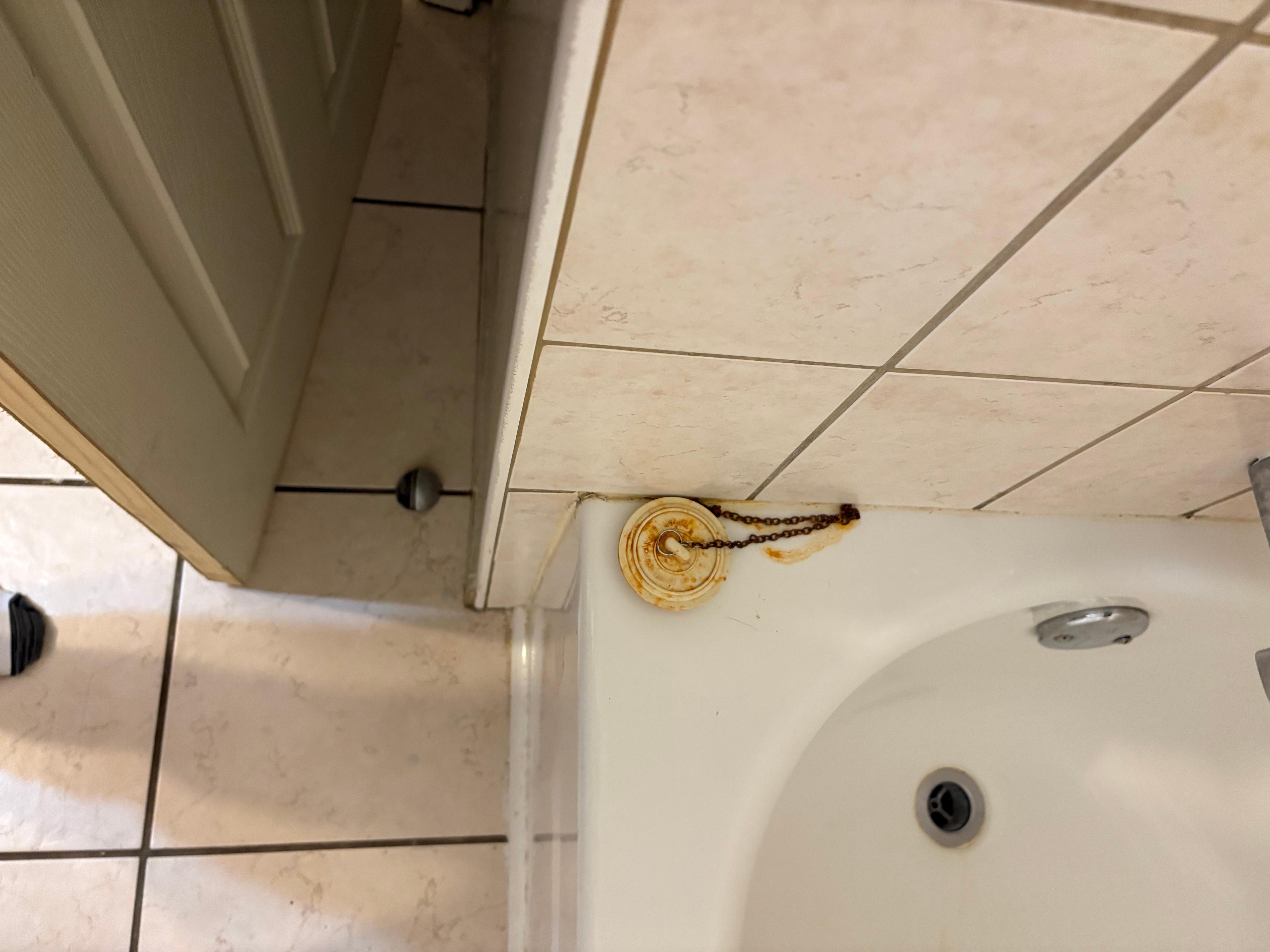 What evern is that growing on bath plug?