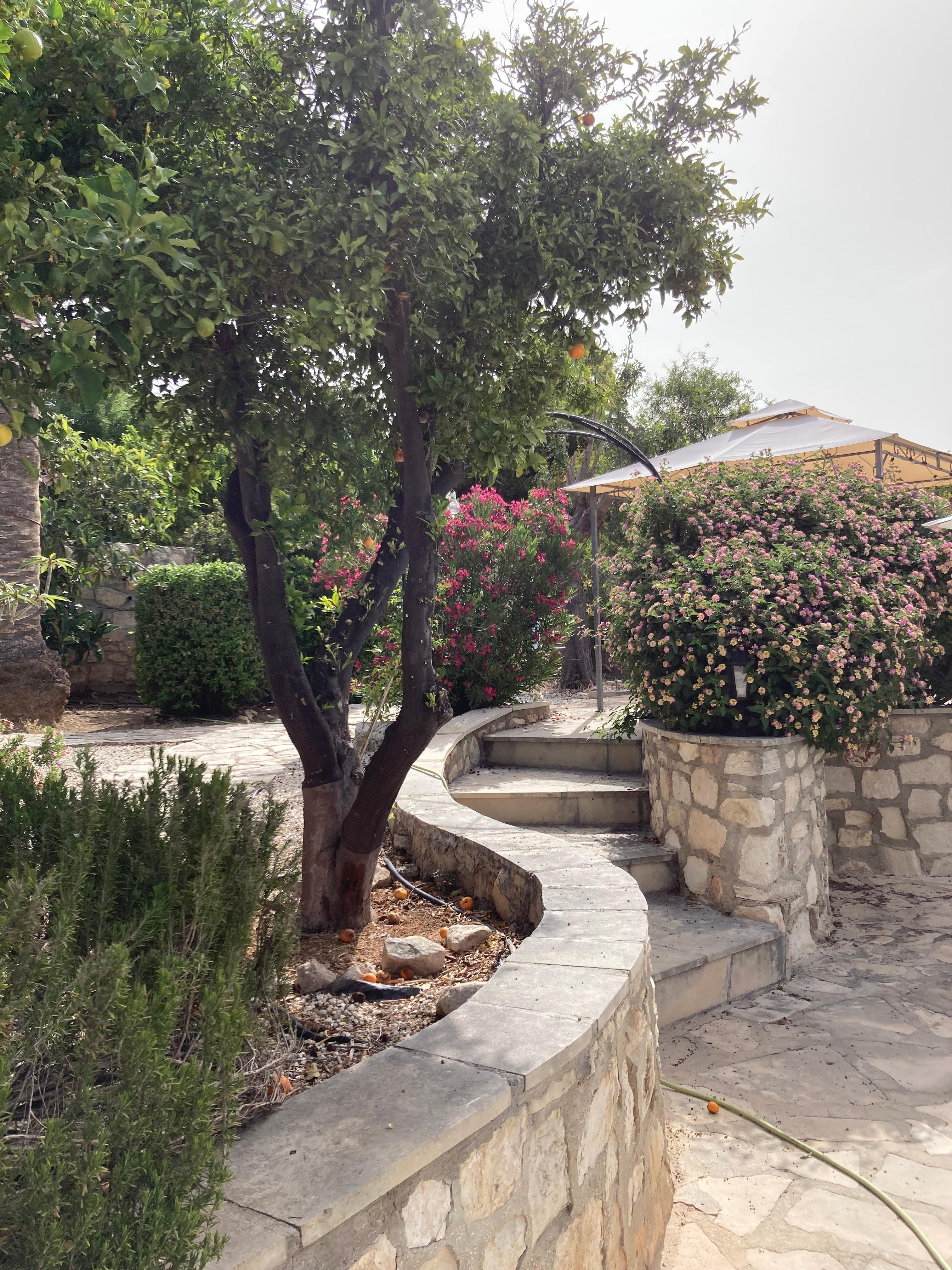 Stairs to terrace and covered dining area