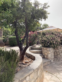 Stairs to terrace and covered dining area