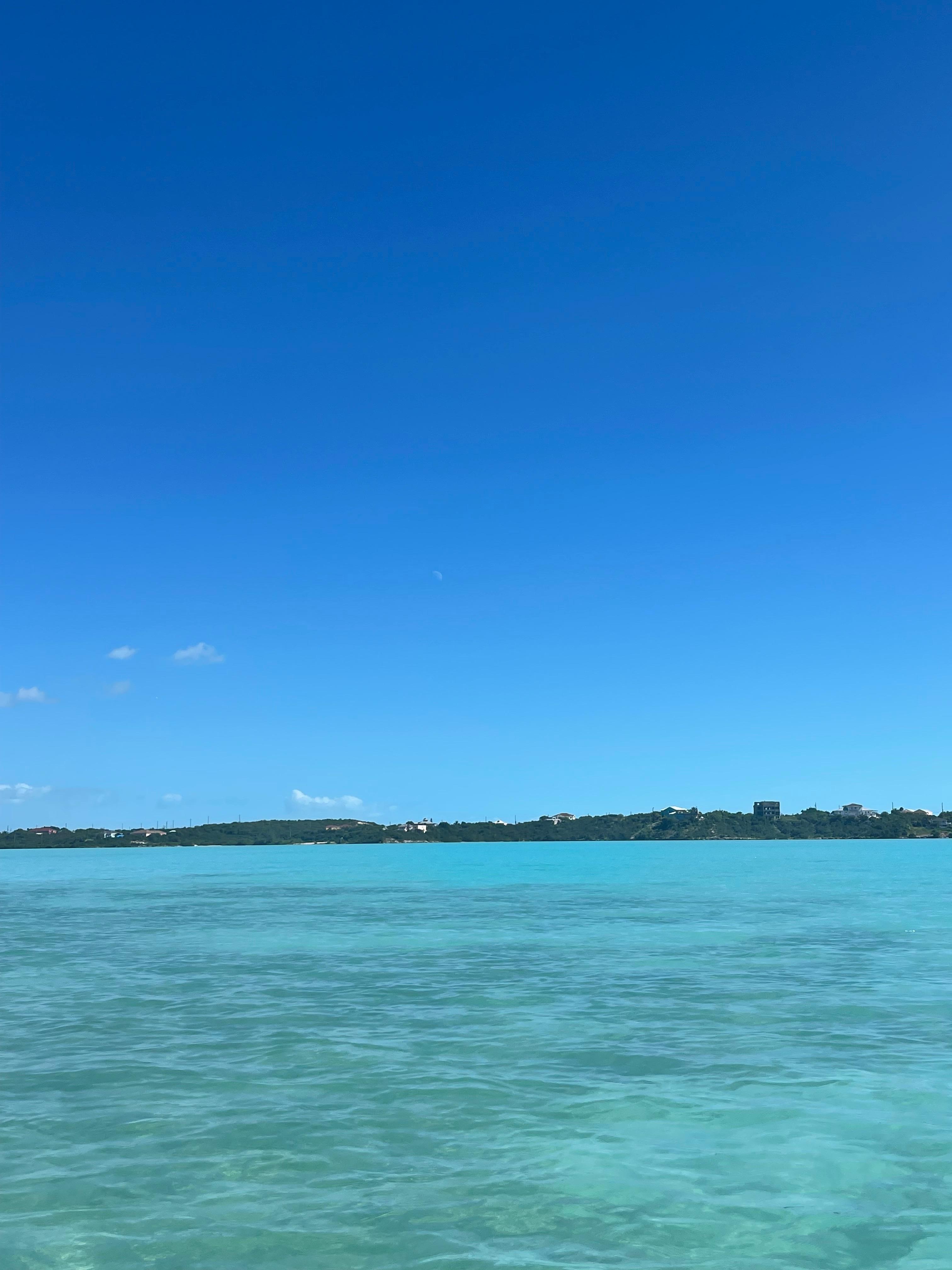 Just an afternoon kayak trip…