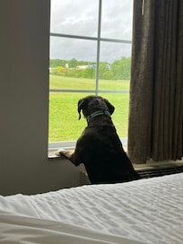 Great view, Ruth concurs!